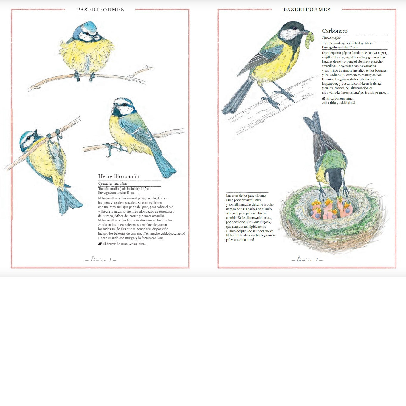 Inventario Ilustrado de Aves Inventario Ilustrado de Aves